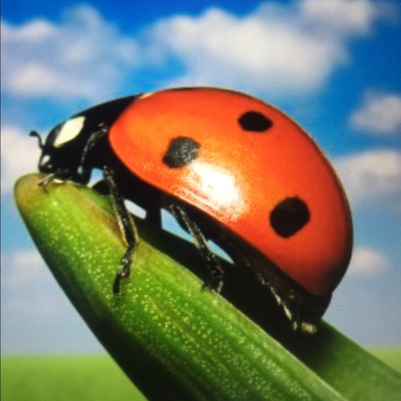 Meet your Posher, Debbie - Picture 1 of 1